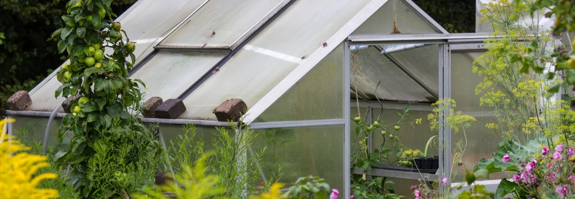 Kleines Gewächshaus im Garten