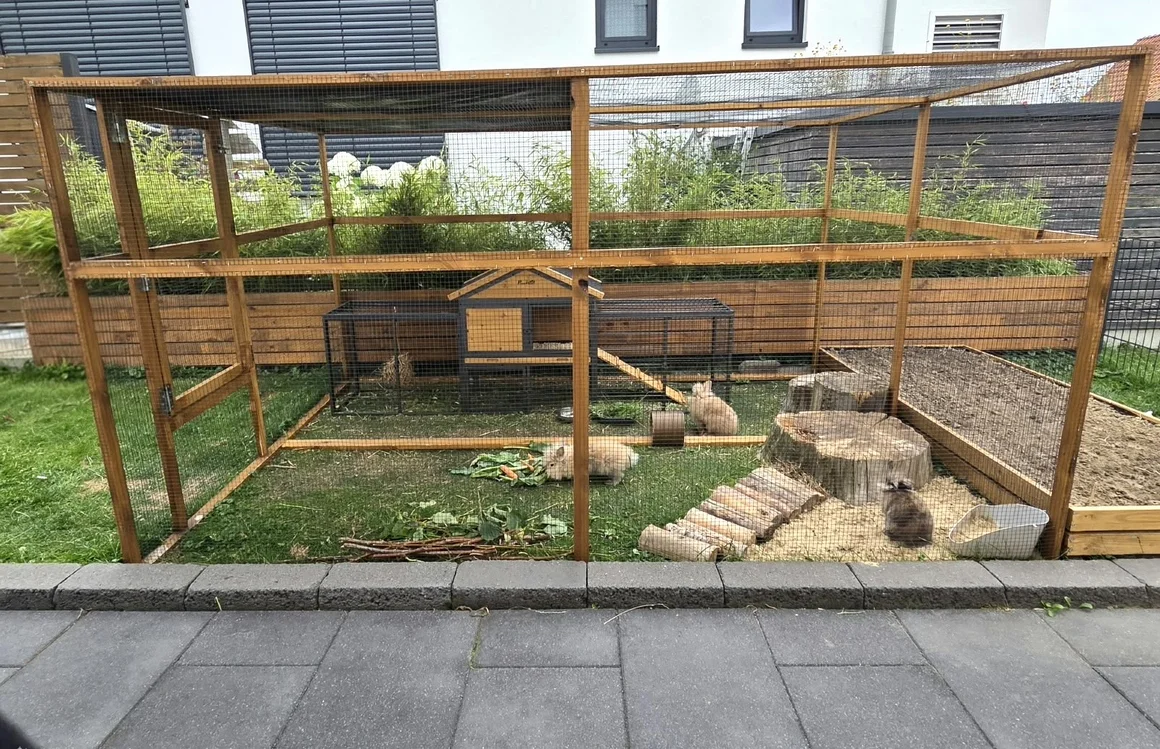 Großes Außengehege mit mehreren Kaninchen im Garten.