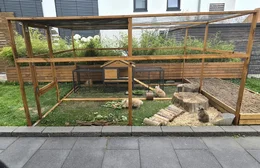 Großes Außengehege mit mehreren Kaninchen im Garten.