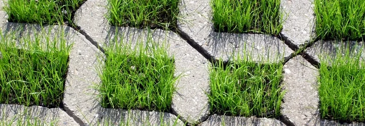 Rasengittersteine mit Gras