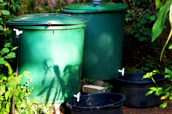 Zwei grüne Regentonnen im Garten