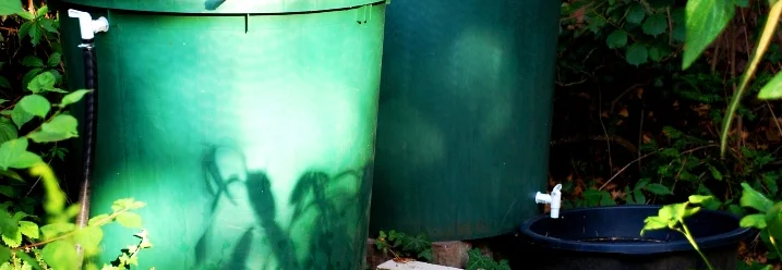 Zwei grüne Regentonnen im Garten