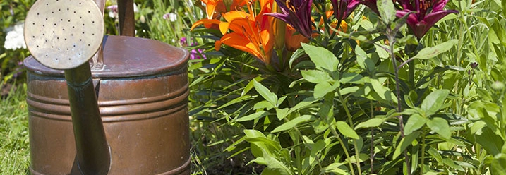 Kupferne Gießkanne im Garten