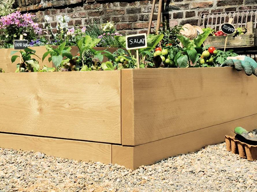 Holzbeet mit Gemüsepflanzen