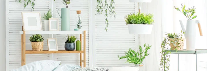 Helles Schlafzimmer mit vielen Pflanzen