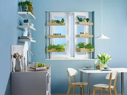 Kräuterregal am Küchenfenster