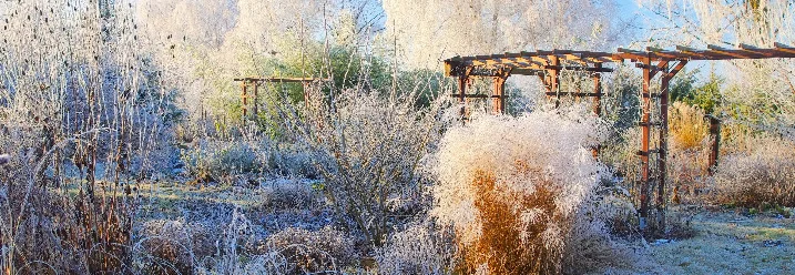 Verfrosteter Garten mit Pergola