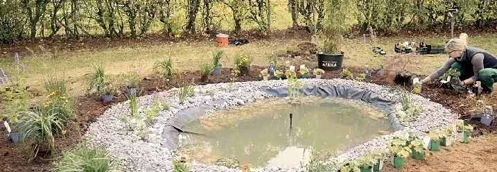 Person bepflanzt einen neuen Gartenteich
