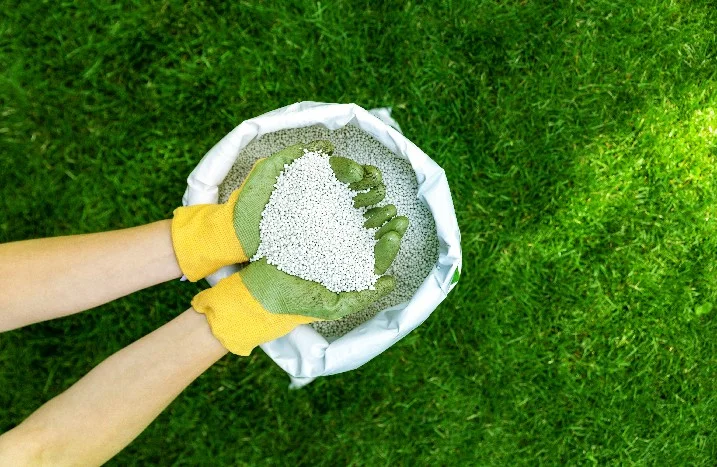 Hände mit Handschuhen halten Rasendünger