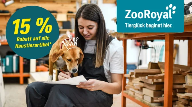 Eine Person schreibt mit einem Hund auf dem Schoß in einer Werkstatt.
