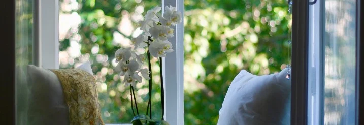 Fensterbank mit Orchidee und Kissen