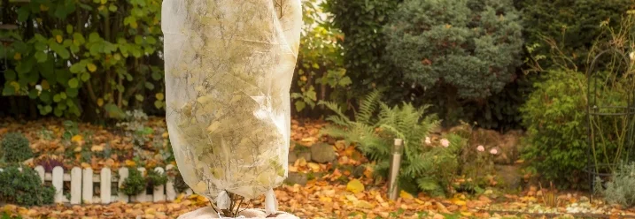 Eingepackter Topfbaum im Garten