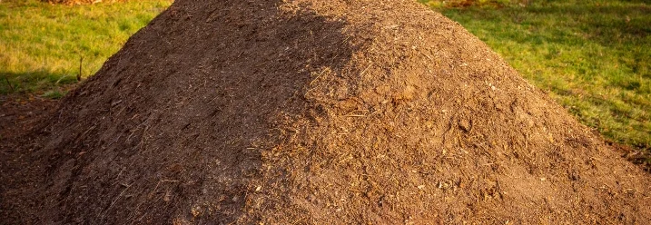 Ein großer Haufen Erde auf einem Rasen.