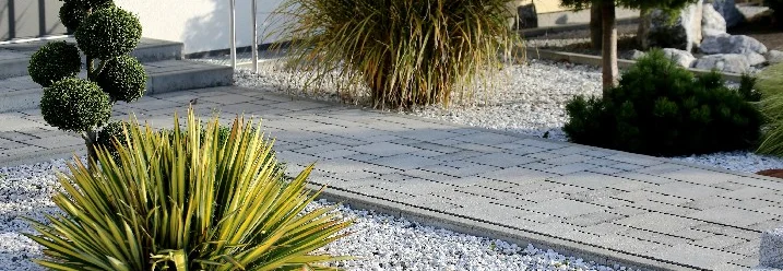 Steingarten mit Weg und verschiedenen Pflanzen