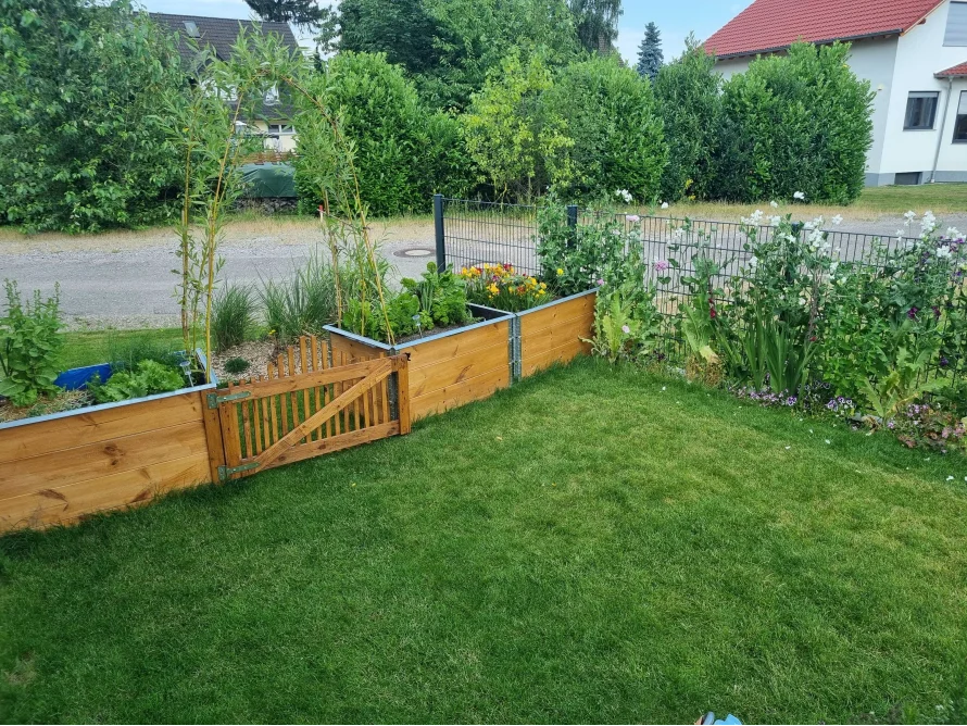Garten mit Hochbeeten und Rankgitter