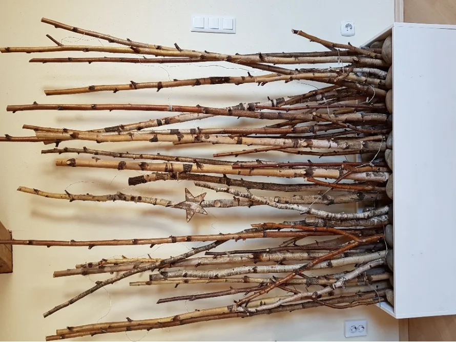Birkenäste an Wand