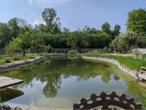 Gartenteich mit Steg