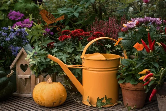 Herbstgarten