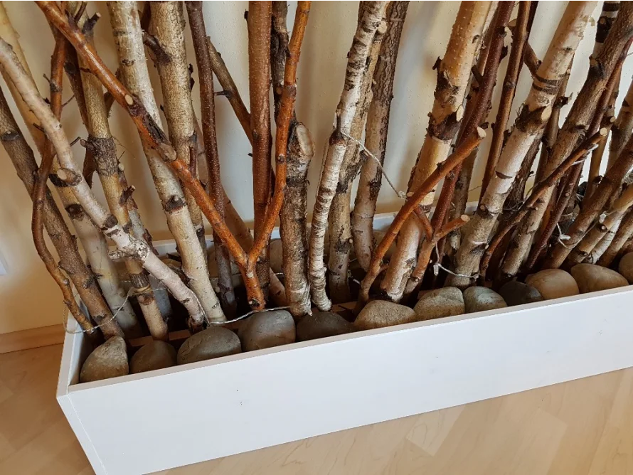 Birkenäste in einem weißen Holzkasten