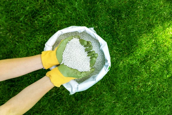 Hände mit Gartenhandschuhen halten Rasendünger
