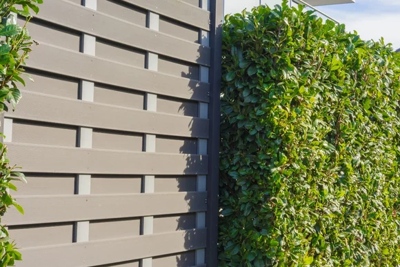 Hecke und Holzzaun