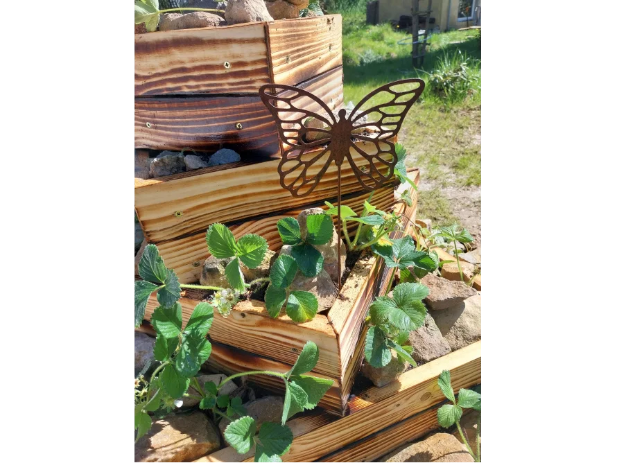 Holzbeet mit Erdbeerpflanzen und Schmetterlingsdeko