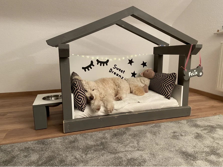 Hundehütte aus Holz