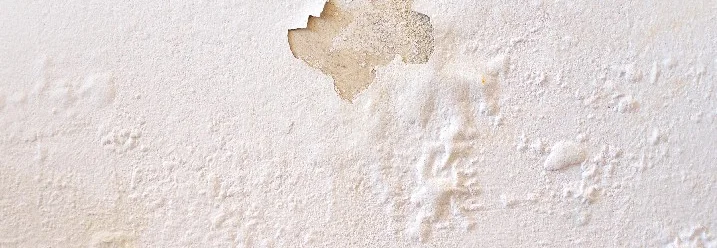 Abgeblätterte Farbe an einer Wand