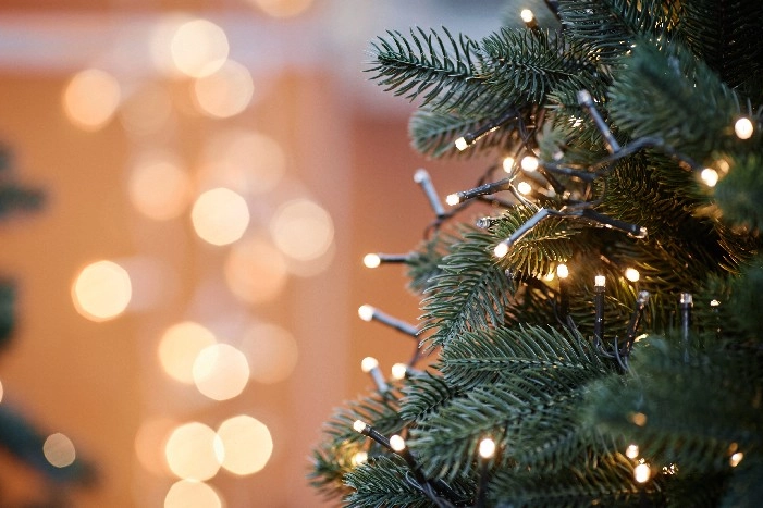 Nahaufnahme eines Weihnachtsbaums mit einer leuchtenden Lichterkette.