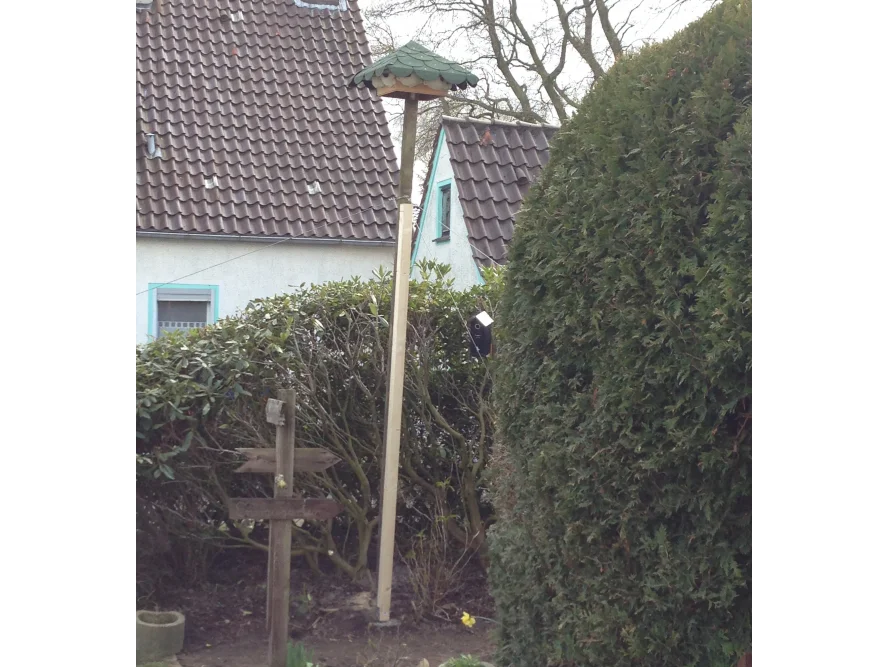 Vogelhaus auf hohem Holzpfahl