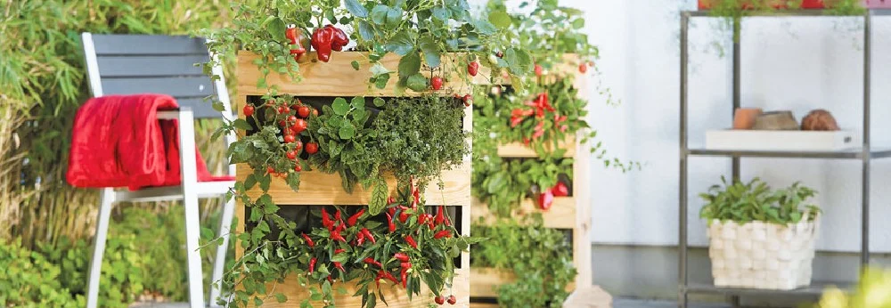 Vertikales Kräuterbeet aus Holz