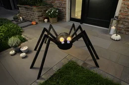 Halloween-Deko: Spinne mit Beleuchtung