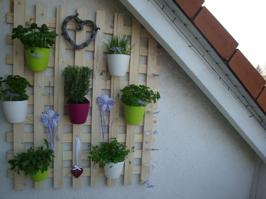 Kräuterwand