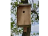 Hölzerner Nistkasten an einem Baum
