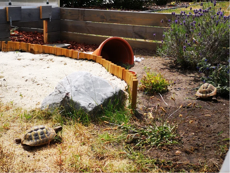 Schildkrötengehege 