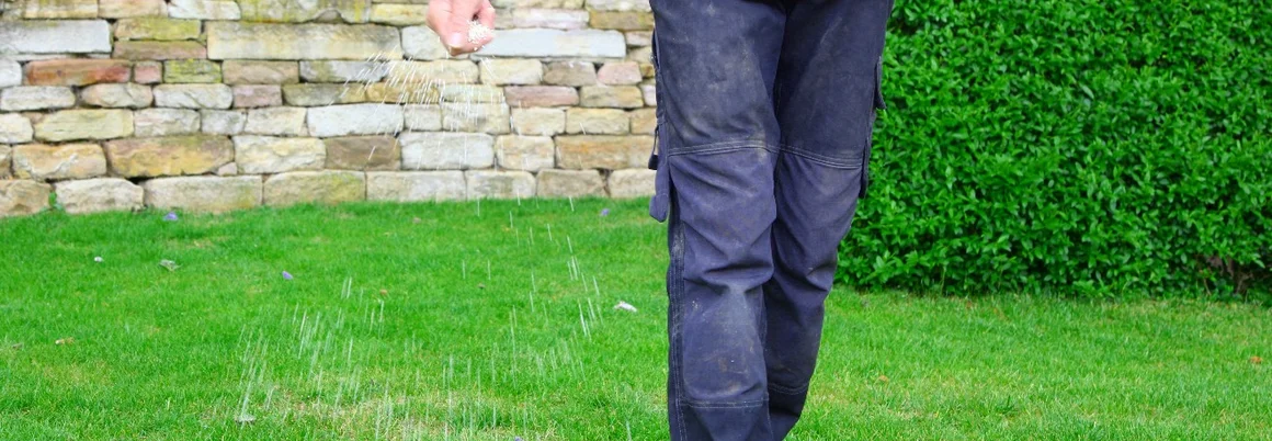 Person düngt Rasen