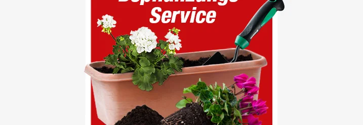 Toom Symbol für den Bepflanzungs-Service