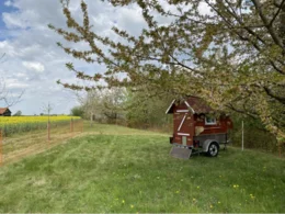Rotes Holzhaus auf einer grünen Wiese