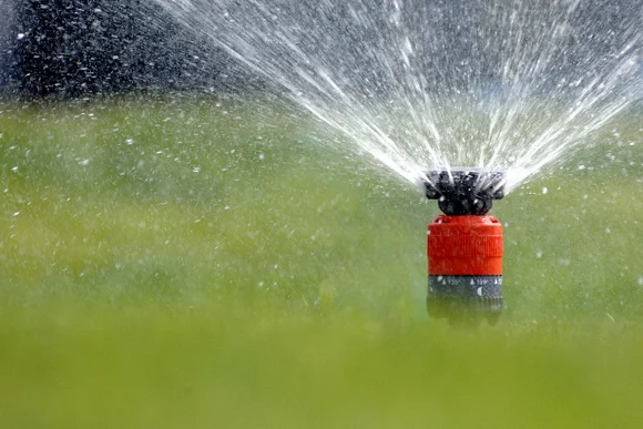 Sprinkler bewässert Rasen