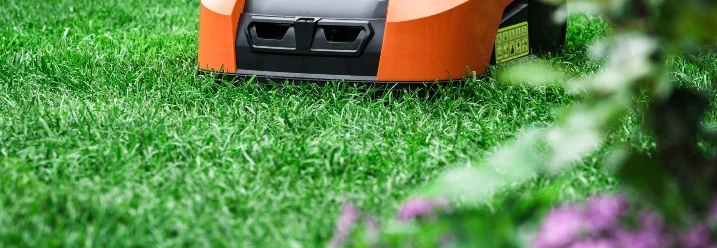 Roboter mäht Rasen