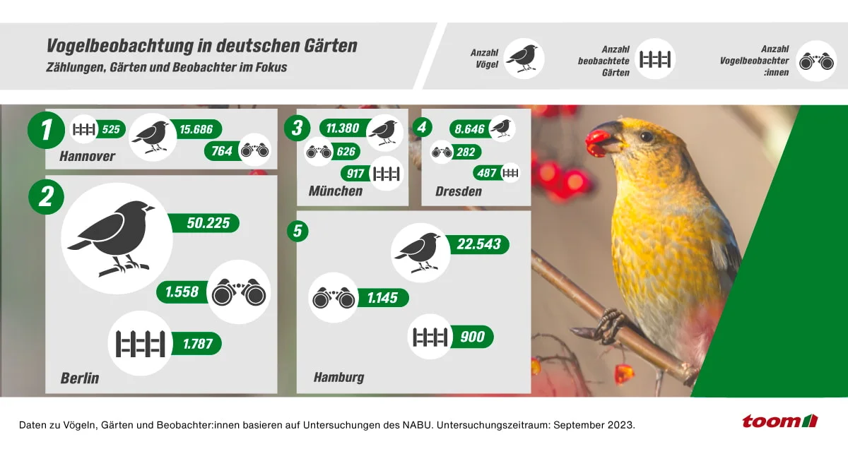 Infografik zur Vogelbeobachtung in deutschen Gärten mit Statistiken und Foto eines Vogels.
