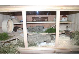 Geräumiger Nagerkäfig aus Holz
