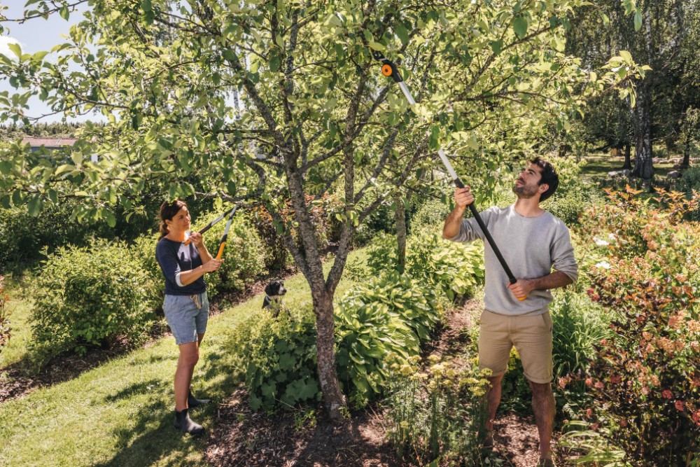 Zwei Personen schneiden einen Baum mit Astscheren